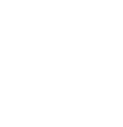 The Wolves Company